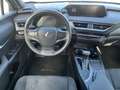 Lexus UX 250h UX 250h 2.0 Executive 2wd cvt Gri - thumbnail 8