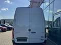 Mercedes-Benz Sprinter 317CDI L2/H2 Kühlkasten Navi*AHK*Kamera Weiß - thumbnail 7