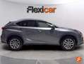 Lexus NX 300 300h Business 2WD Gris - thumbnail 9