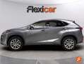 Lexus NX 300 300h Business 2WD Gris - thumbnail 4