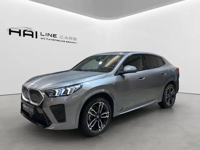 BMW iX2 20 eDrive M Sport | Kamera | DAP | PDC | Keyless