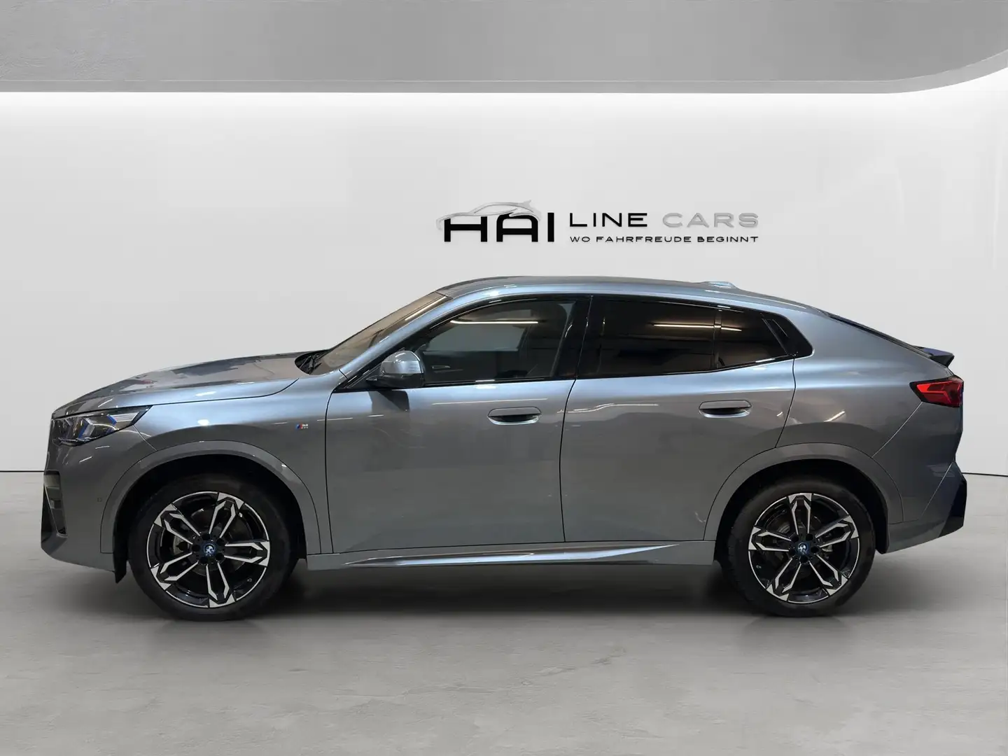 BMW iX2 20 eDrive M Sport | Kamera | DAP | PDC | Keyless Grau - 2