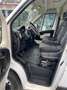 Fiat Ducato Ducato 30 L1H1 130 Panorama Panorama Weiß - thumbnail 8
