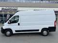 Fiat Ducato Ducato 30 L1H1 130 Panorama Panorama Weiß - thumbnail 11