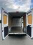 Fiat Ducato Ducato 30 L1H1 130 Panorama Panorama Weiß - thumbnail 10