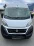 Fiat Ducato Ducato 30 L1H1 130 Panorama Panorama Weiß - thumbnail 4