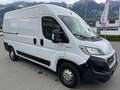 Fiat Ducato Ducato 30 L1H1 130 Panorama Panorama Weiß - thumbnail 1