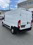 Fiat Ducato Ducato 30 L1H1 130 Panorama Panorama Weiß - thumbnail 2