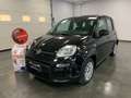 Fiat Panda 1.0 Benzina Hybrid City Life Noir - thumbnail 3