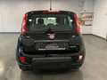 Fiat Panda 1.0 Benzina Hybrid City Life Noir - thumbnail 5