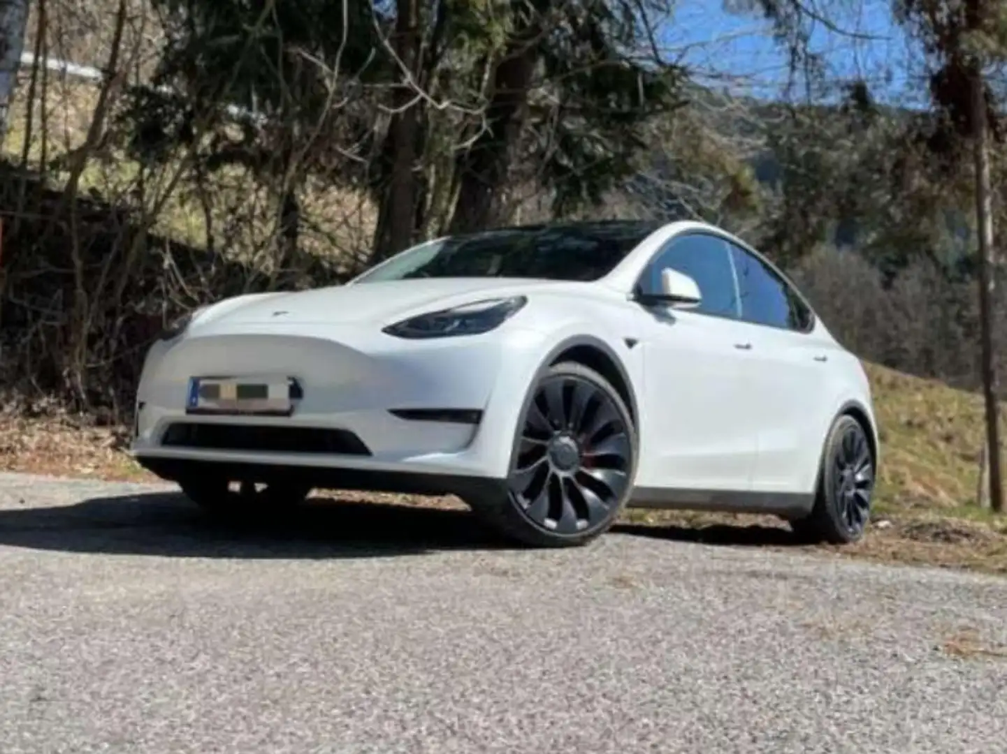 Tesla Model Y Model Y 75kWh Base Base Weiß - 1