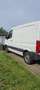Volkswagen Crafter Crafter 35 TDI White - thumbnail 4