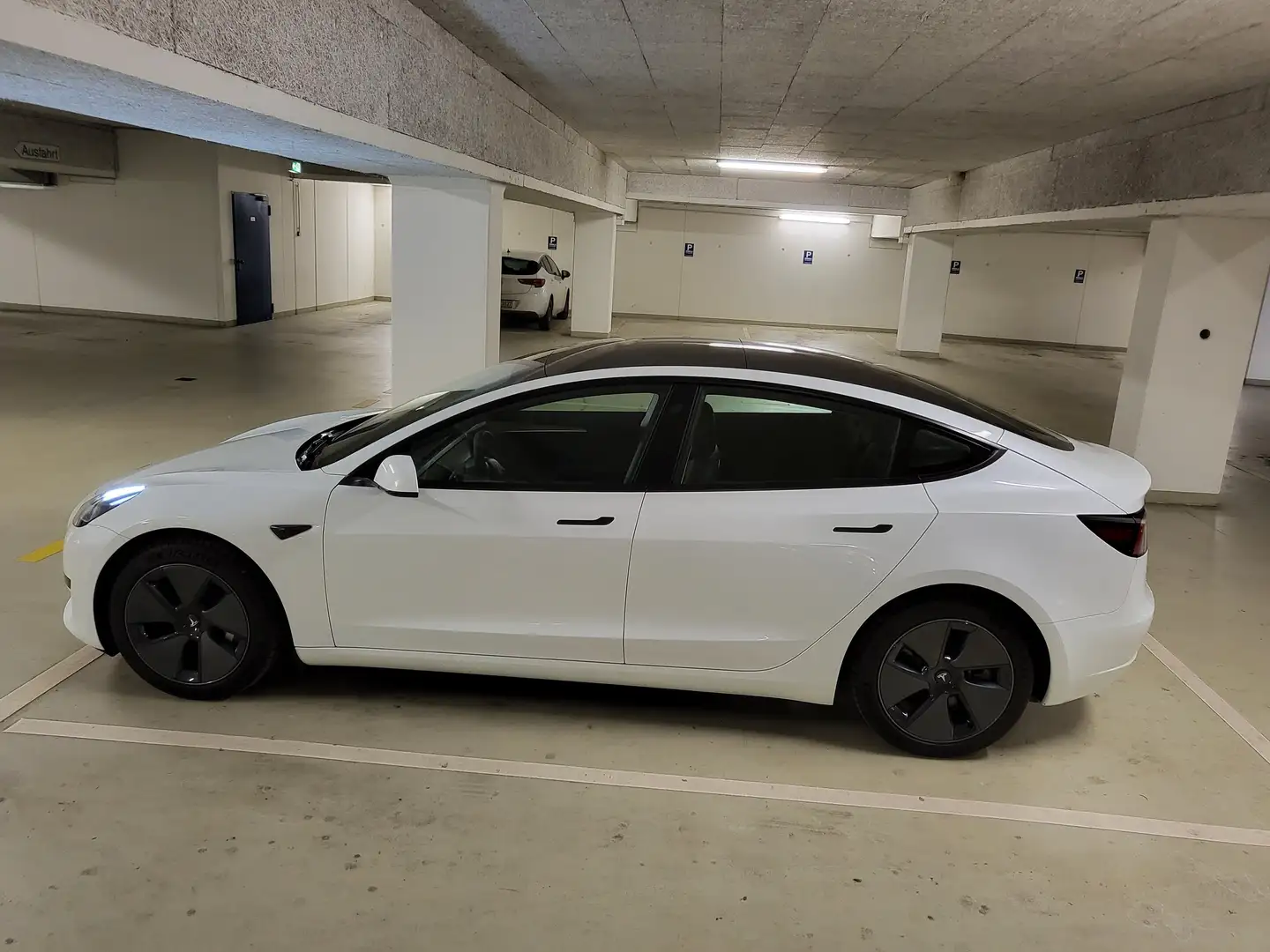 Tesla Model 3 Model 3 RWD Hinterradantrieb Weiß - 2