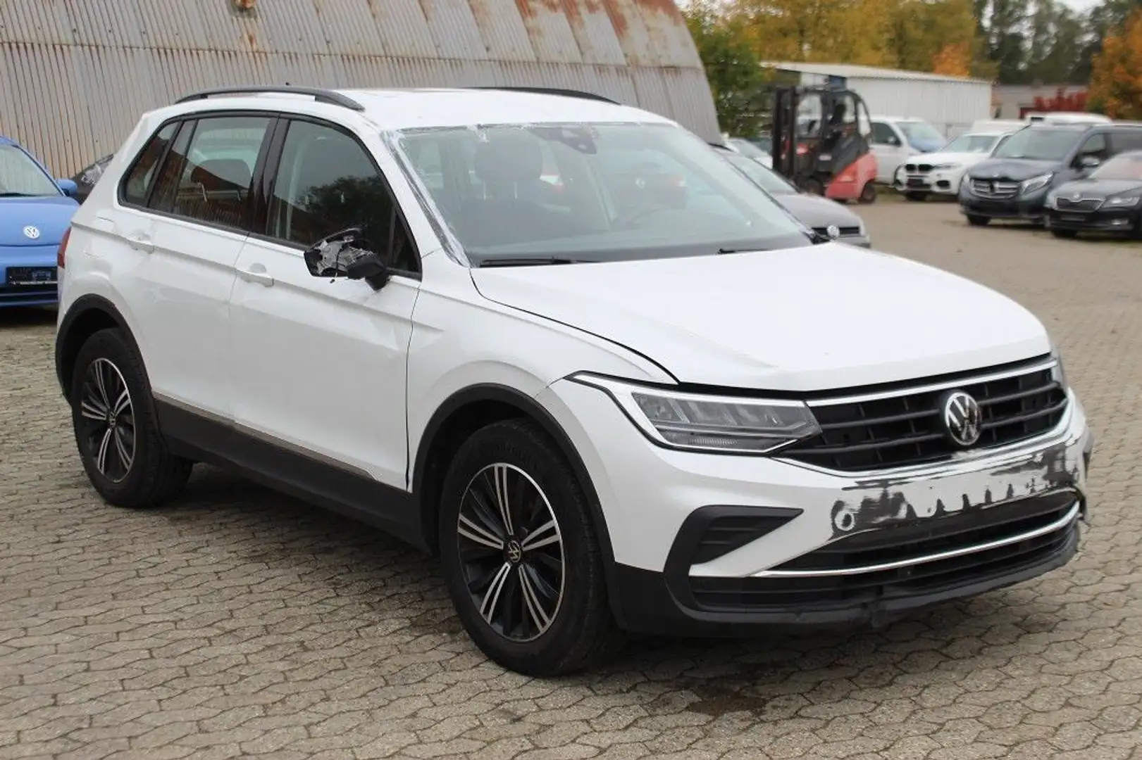 Volkswagen Tiguan 2.0 TDI DSG Life ACC LED Alcantara Weiß - 1