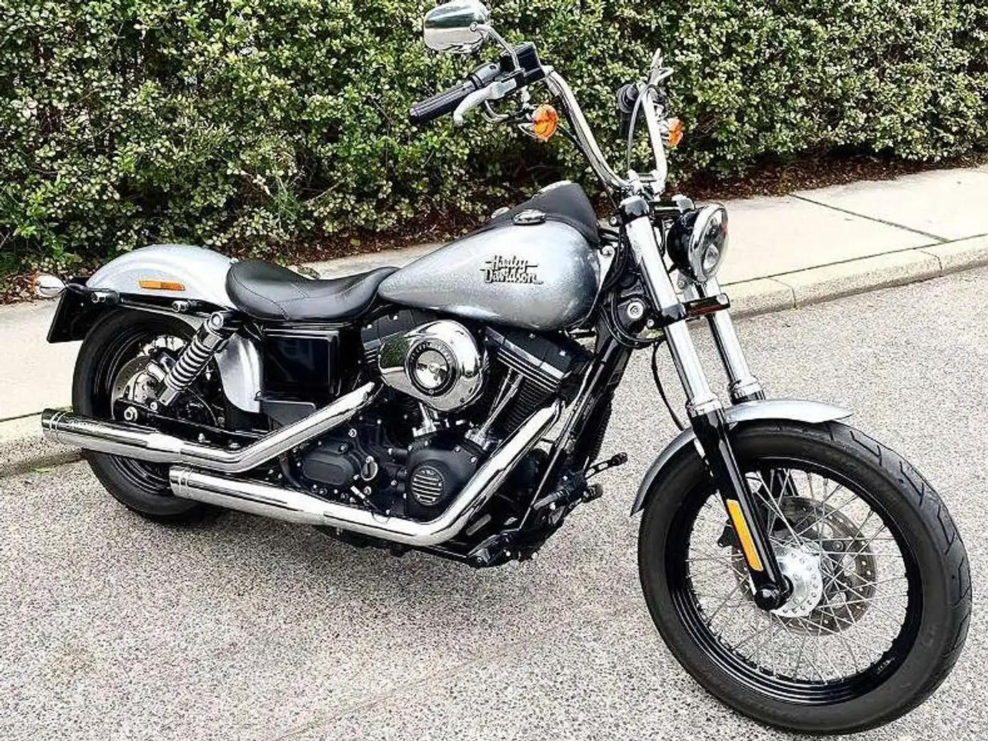Harley-Davidson Dyna Street Bob Silber - 1