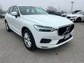 Volvo XC60 XC60 2.0 b4 Business awd auto my20 - GE144SD Bianco - thumbnail 8