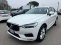Volvo XC60 XC60 2.0 b4 Business awd auto my20 - GE144SD Bianco - thumbnail 2