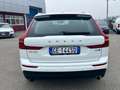 Volvo XC60 XC60 2.0 b4 Business awd auto my20 - GE144SD Bianco - thumbnail 5