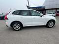 Volvo XC60 XC60 2.0 b4 Business awd auto my20 - GE144SD Bianco - thumbnail 7