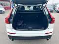 Volvo XC60 XC60 2.0 b4 Business awd auto my20 - GE144SD Bianco - thumbnail 12