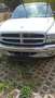 Dodge Dakota Weiß - thumbnail 1