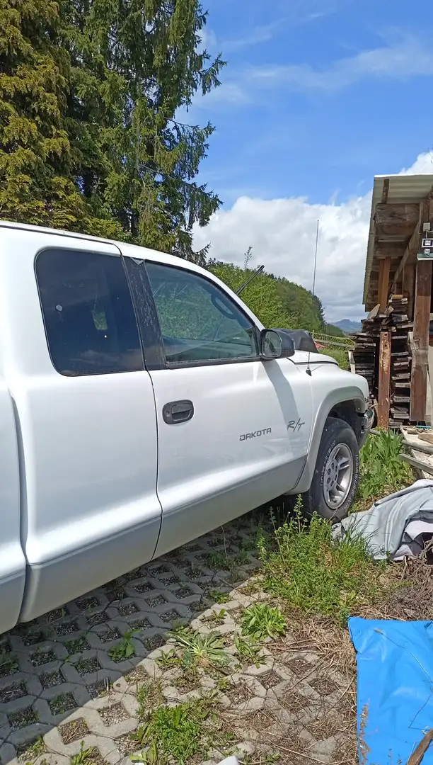 Dodge Dakota Weiß - 2