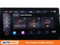 CUPRA Formentor 1.5 TSI ACT Grau - thumbnail 24