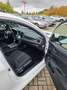 Honda Civic 1.0 i-VTEC Turbo Elegance Weiß - thumbnail 5