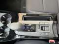 Toyota Prius Premium Plus Zwart - thumbnail 21