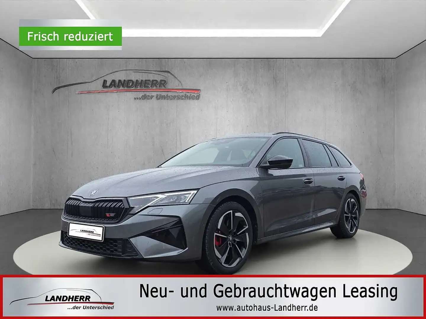 Skoda Octavia RS Facelift // Matrix/Rückfahrkamera Gris - 1