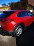 Mazda CX-30 CX-30 G122 Homura Homura Rot - thumbnail 10