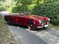 Aston Martin DB 2/4 Rojo - thumbnail 28