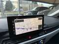 Audi A4 Avant 35  tdi mhev S Line SLINE s-tronic IVA ESP Grigio - thumbnail 28