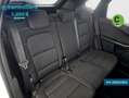 Ford Kuga 1.5 EcoBoost Titanium FWD 120 Blanco - thumbnail 7
