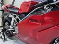 Ducati 999 R *Press Model *Very Exclusive! *One Of A Kind - thumbnail 8