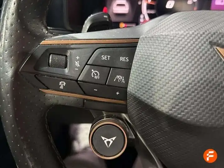 Cupra Formentor 2.0 TSI 4Drive DSG 2020, foto 16
