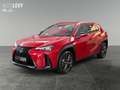 Lexus UX 300h UX 300h F Sport Design Sitzhzg+ Parkassist+1,99%* crvena - thumbnail 2