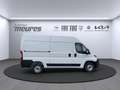 Opel Movano Cargo, 140 PS, Diesel, 6-Gang Schaltgetrieb Blanc - thumbnail 5