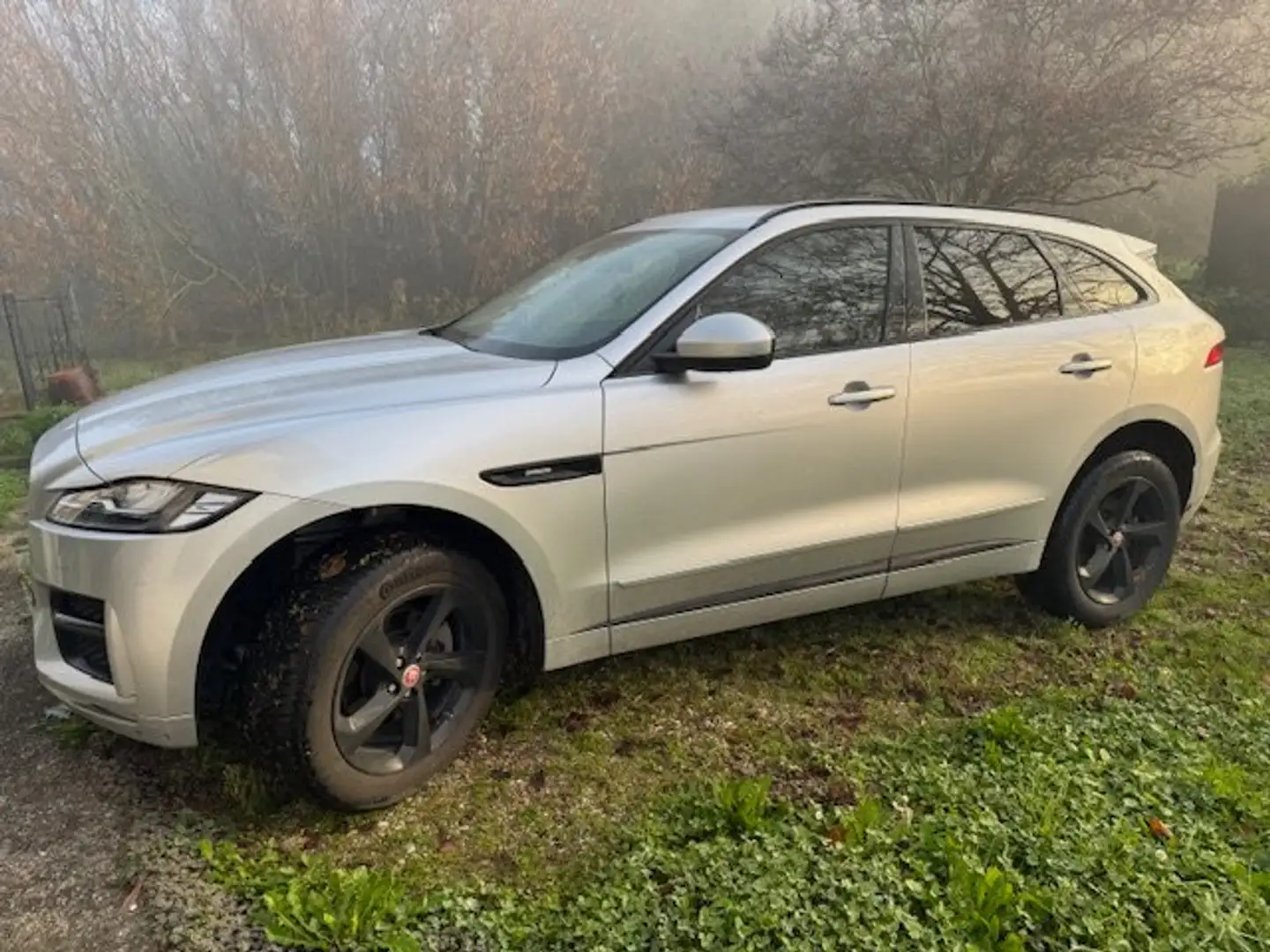 Jaguar F-Pace F-Pace 2.0d i4 R-Sport 180cv auto my19 Argento - 1