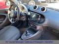 smart forFour FORFOUR EQ 2-HAND|63-TKM|KLIMA|SITZH.|NAVI|CAM Noir - thumbnail 18