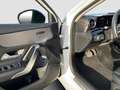 Mercedes-Benz A 250 e Kompaktlimousine Night Paket*Kamera*LED Weiß - thumbnail 13