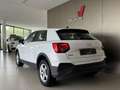 Audi Q2 30 TFSI Business "CARPLAY - SEDILI RISC" Bianco - thumbnail 4