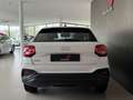 Audi Q2 30 TFSI Business "CARPLAY - SEDILI RISC" Bianco - thumbnail 5