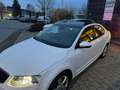 Skoda Octavia Lim. Elegance Panorama Xenon Navi AHK Blanc - thumbnail 3