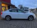 Skoda Octavia Lim. Elegance Panorama Xenon Navi AHK Blanc - thumbnail 8