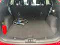 Ford Kuga ST Line X 2.5 PHEV 225PK    Lucid Red / Winter Pac Rouge - thumbnail 22