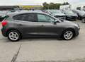 Ford Focus Gris - thumbnail 10