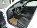 Honda Civic 2.0 i-MMD Hybrid Advance e-CVT Aut. "Facelift" Blanc - thumbnail 8