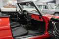 Alfa Romeo Spider 1300 Junior Rouge - thumbnail 12