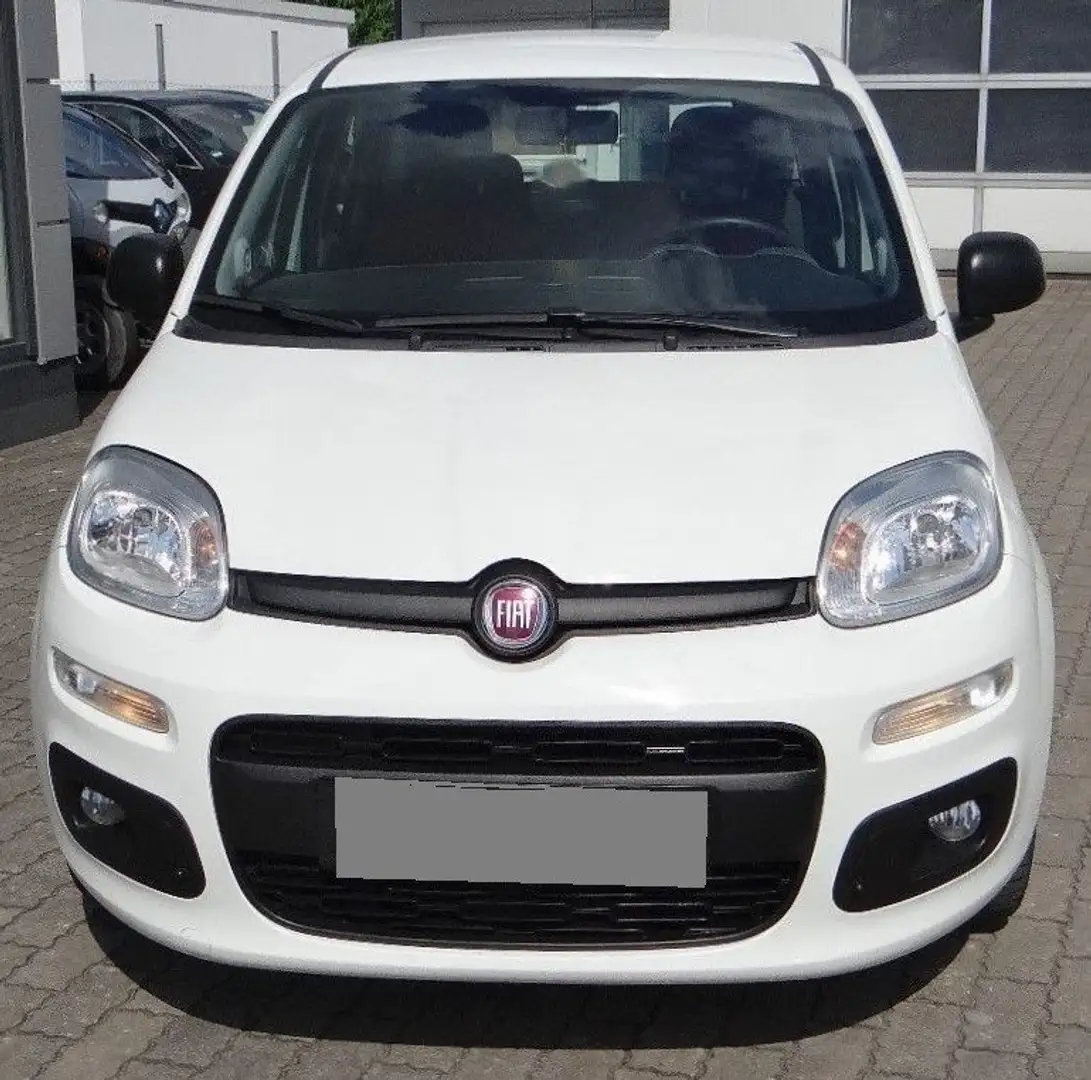 Fiat Panda 1.2 8v.  ok neopatentati Wit - 1